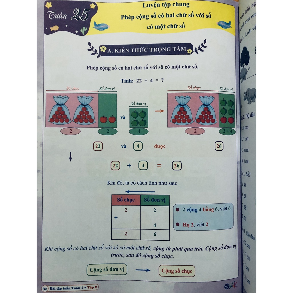 Sách - Bài Tập Tuần Toán Lớp 1 - Tập 2 - Kết Nối Tri Thức Với Cuộc Sống (1cuốn)