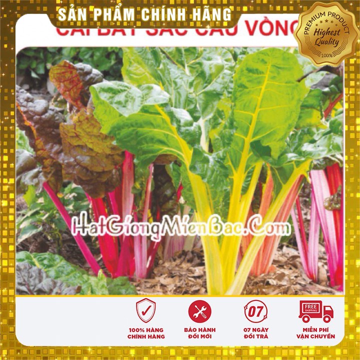 Hạt Giống Bảy Sắc Cầu Vồng