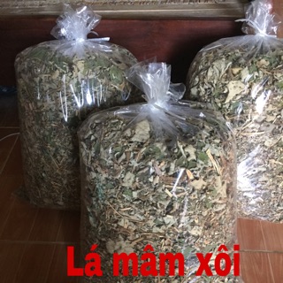 Cây mâm xôi khô