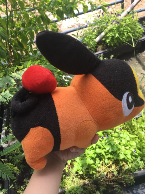 Gấu bông pokemon heo lửa Pokabu