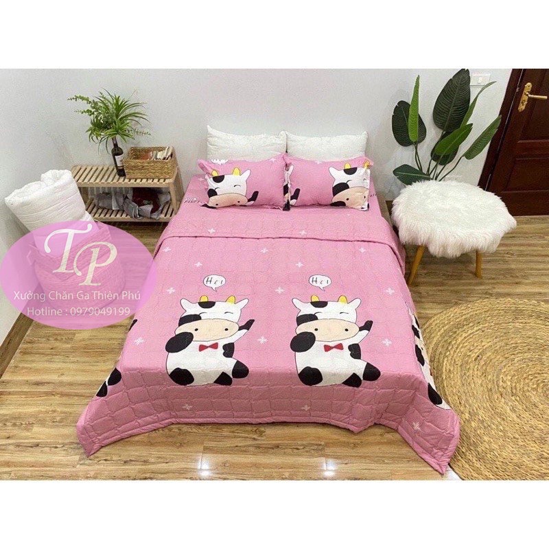 Chăn Hè Trần Bông 3 Lớp Chất Liệu Coton Poly Màu Sắc Đa Dạng