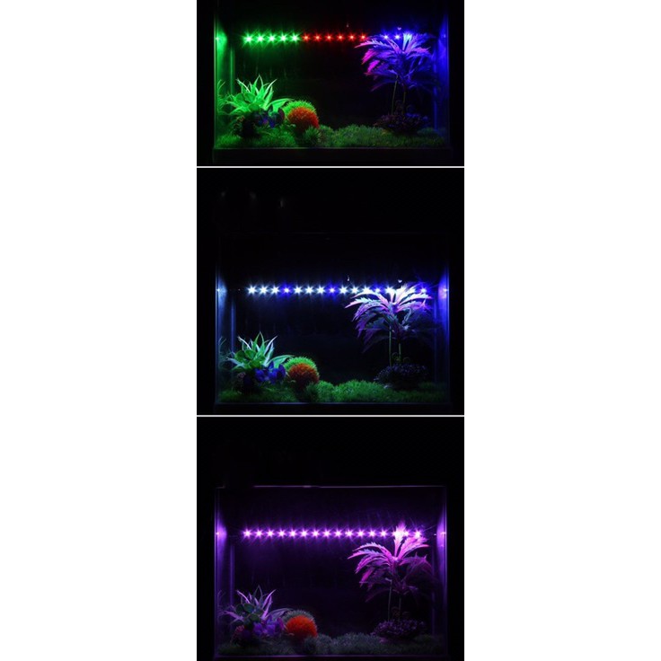 Đèn Led Chìm CAIBAO Cho Hồ Cá Kiểng Giá Rẻ