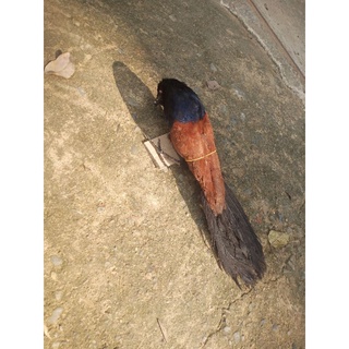 Bịp Mồi Nhồi Keo