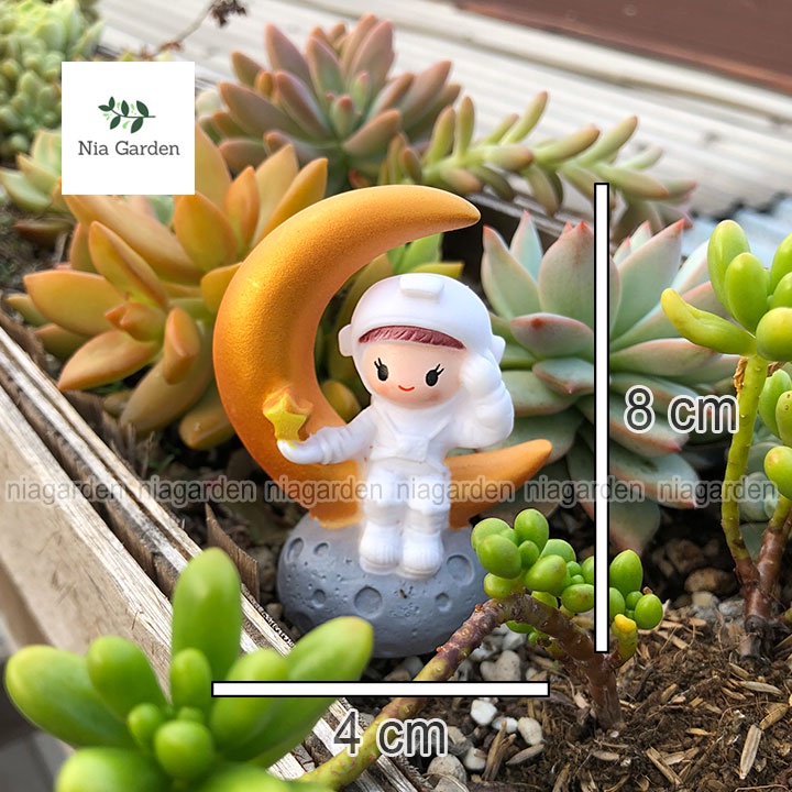 Tiểu cảnh trang trí hồ cá mô hình mini decor vườn chậu cây terrarium bàn làm việc taplo xe hơi Nia Garden N5