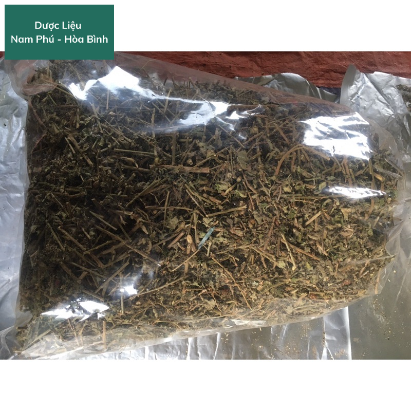 1KG Cà Gai Leo Hòa Bình giá SỈ sạch thơm lọc sạch vụn giúp giải độ.c gan, hạ men gan