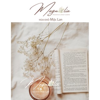 Hoa Khô 🍁FREESHIP🍁 Hoa bi ướp trang trí nhà cửa, tiệc cưới vintage, làm đồ handmade, scrapbook