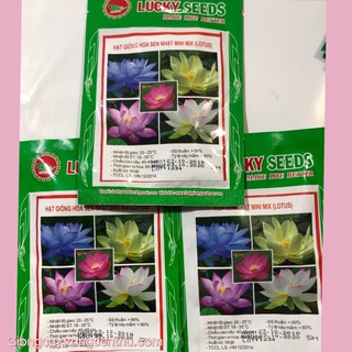 HẠT GIỐNG HOA SEN NHẬT MINI MIX NHẬP KHẨU.