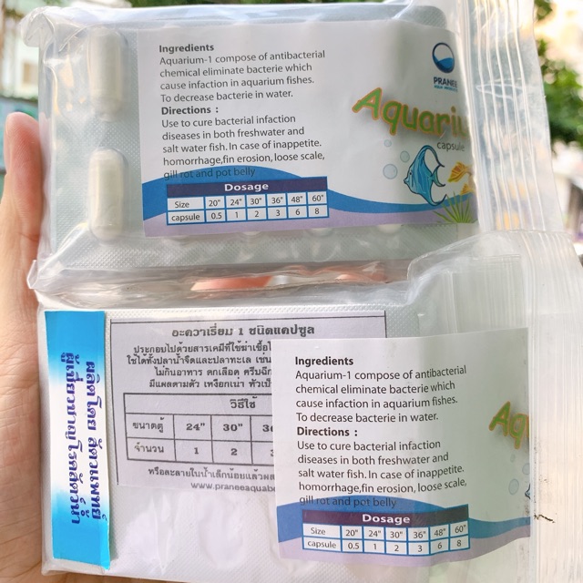 Viên con nhộng - Pranee ( Aquarium-1 ) trị cá tép chết lai rai - lắc nhắc không rõ nguyên nhân .