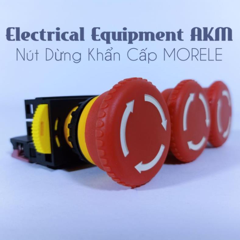 Nút Dừng Khẩn Cao Cấp Phi 22 Morele Tiếp Điểm Đồng Mạ Bạc 85%