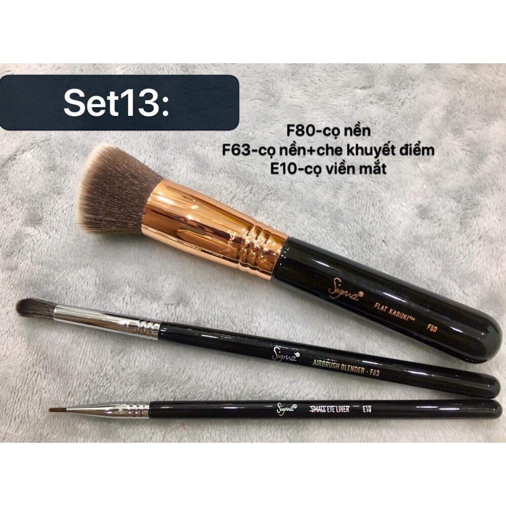 Thanh lý cọ Sigma chính hãng-giá rẻ nhất trong năm