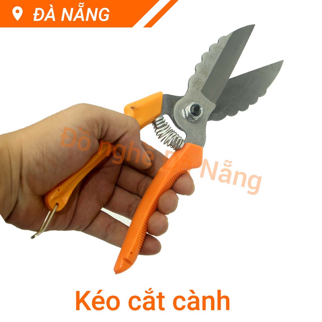 Kéo thu hoạch tỏi và trái cây Senyue