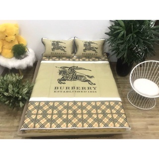 Chiếu điều hoà cao su non Thương hiệu sẵn hàng (ảnh thật 100%)