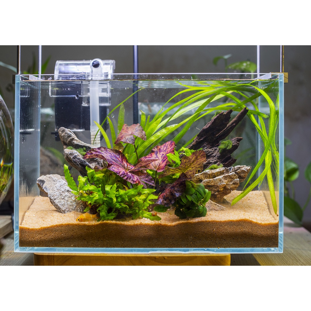 Bể kính siêu trong  50 x26 x 30cm nhập khẩu