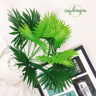 Cây giả -Cây cọ nhỏ trang trí