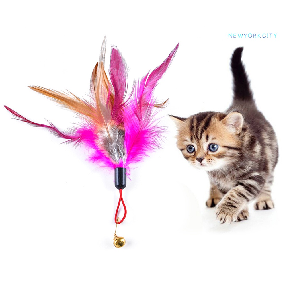 Gậy Trêu Mèo Gắn Lông Vũ Nhiều Màu Sắc