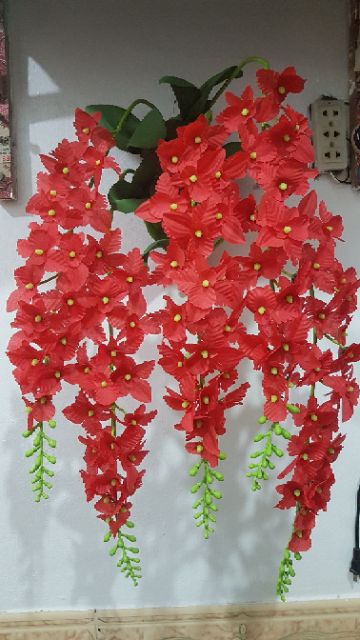 Giỏ hoa lan treo tường