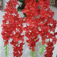 Giỏ hoa lan treo tường