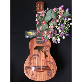 Đàn ukulele soprano cv-550 cb2