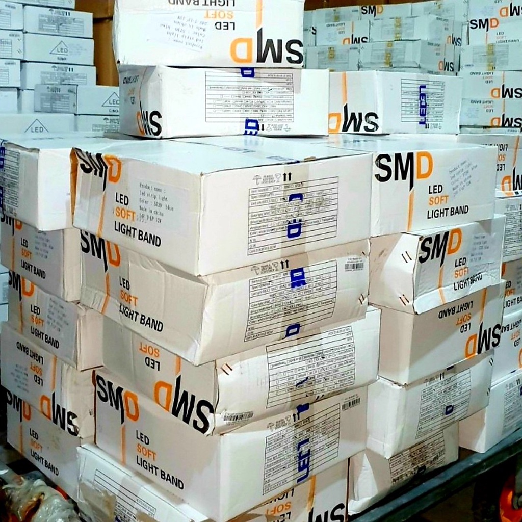 Dây led đôi 2835 2 hàng bóng 100m