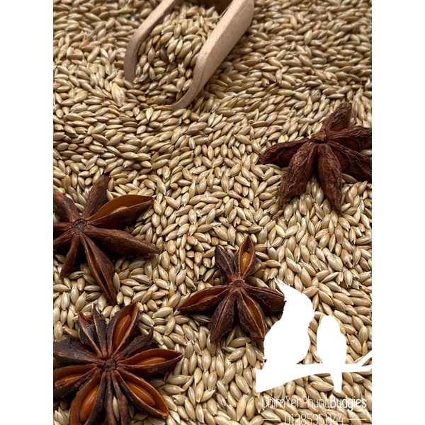 2kg hạt láng Deli Nature [thức ăn: yến hót, chim cảnh, hamster...] - xuất xứ: Bỉ 🇧🇪🇧🇪🇧🇪