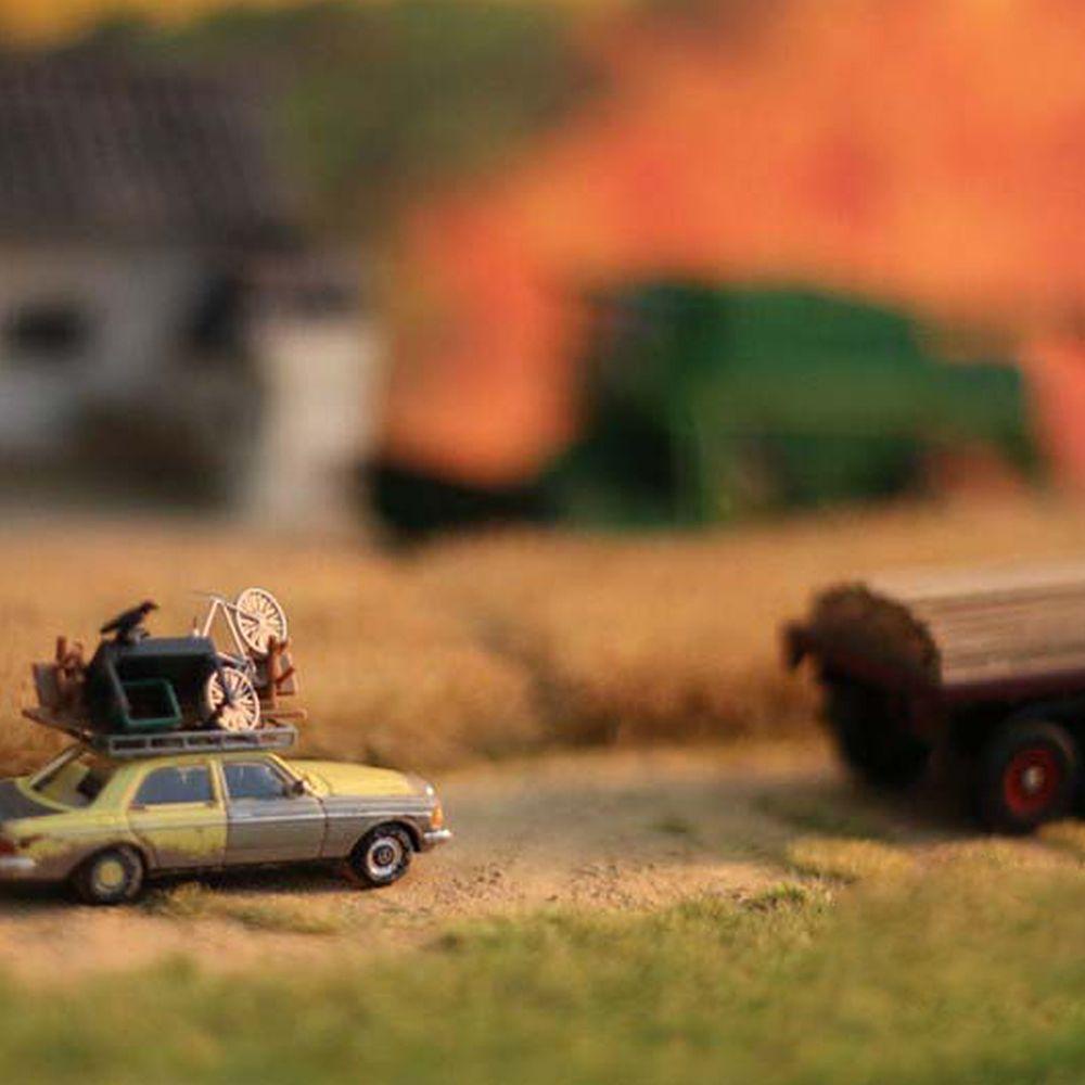 Jane Rice Field Vật Liệu Wargame Bãi Cỏ Tufts Thu Nhỏ Trang Trí Sân Vườn