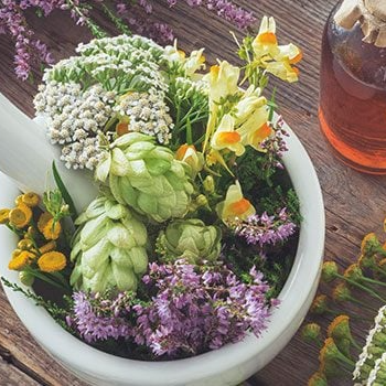 Kiddy care - Thảo dược