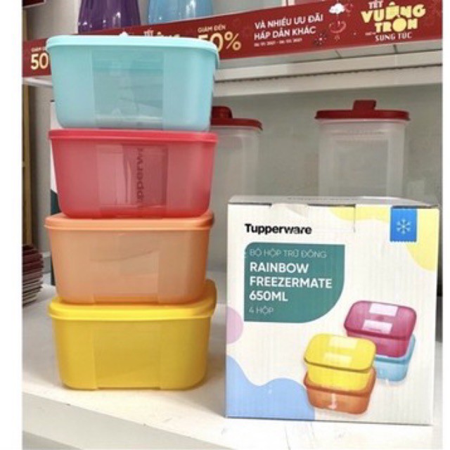 Hộp trữ đông 290ml, 650ml Tupperware Việt Nam phân phối bảo hành trọn đời