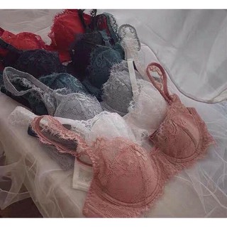 Bộ đồ lót b002 Mand cánh tiên ren mỏng có gọng - BL