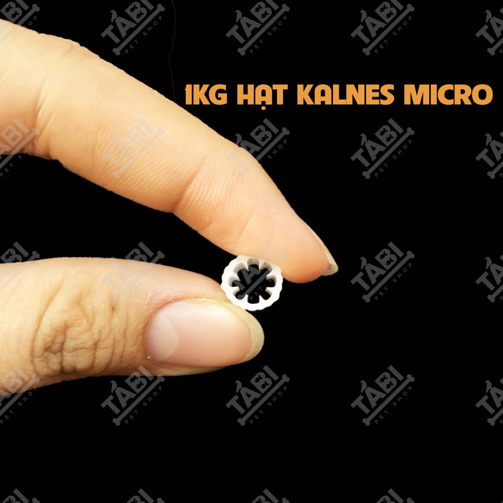 1KG Hạt Kaldnes MICRO (Hạt Kanet) - Giá Thể Vi Sinh MBBR Lọc Hồ Cá Và Xử Lý Nước Kanes [1KG MICRO]
