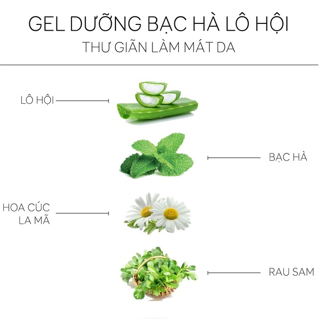 Gel dưỡng da lô hội bạc hà cấp ẩm &amp; phục hồi da L'eau Claire Relaxing Fresh Mint Aloe Calming 500ml