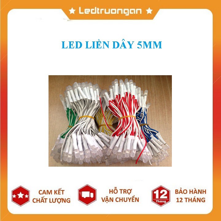 LED LIỀN DÂY 5MM PIXEL ĐỦ MÀU