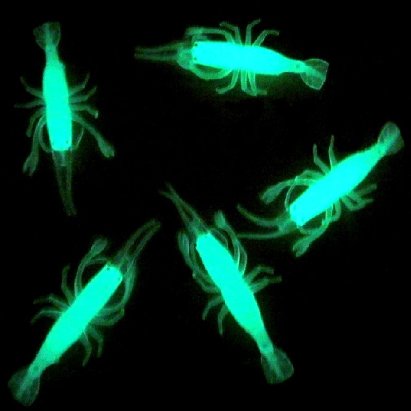 Set 2 mồi câu cá giả hình tôm dạ quang