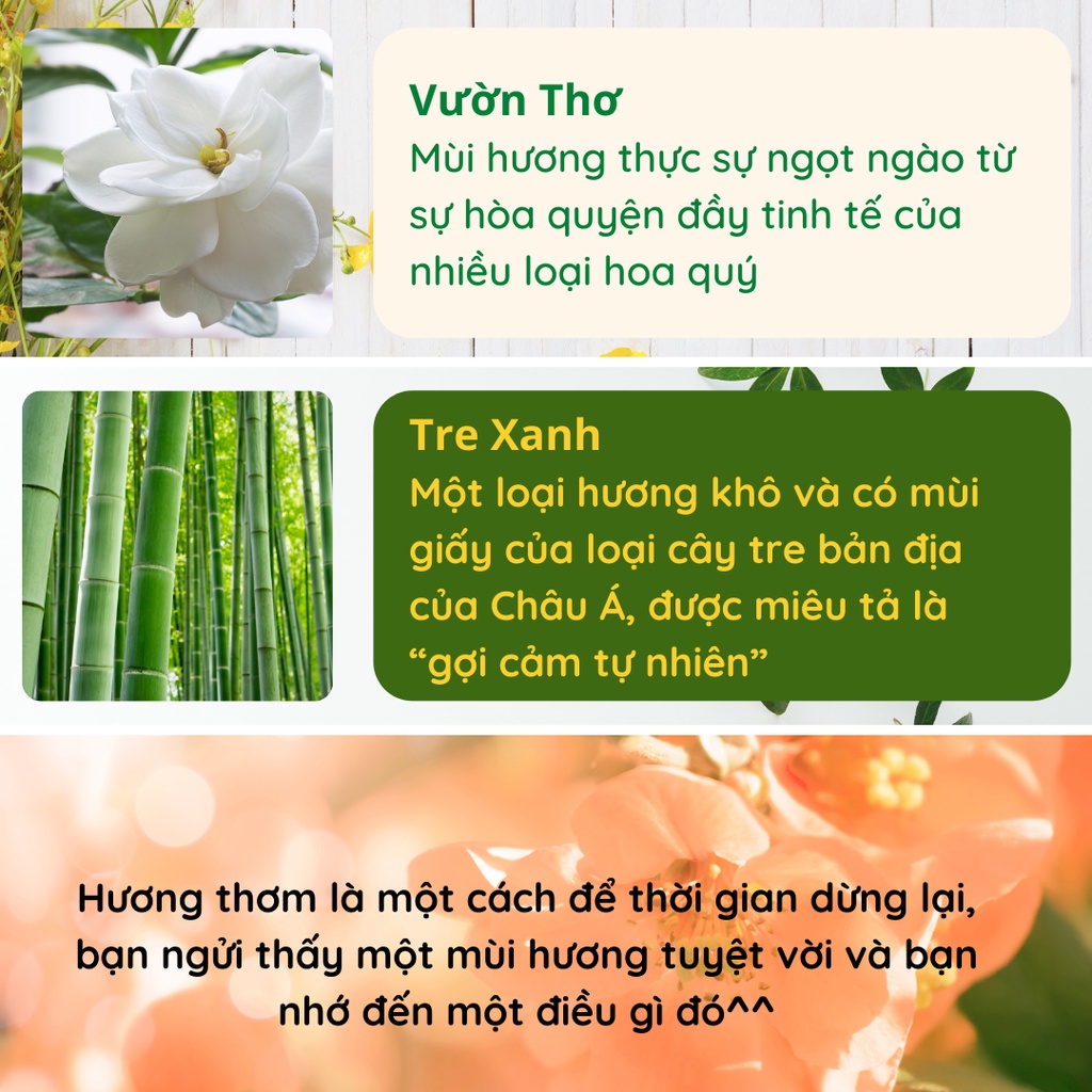 Tinh Dầu Thơm Thiên Nhiên Nguyên Chất Xông Phòng WIACHNN 20ml Tỏa Hương Thơm Khử Mùi KT35