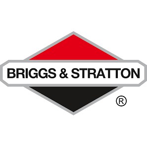 Máy Nén Khí Không Dầu 0.75HP 6L Briggs & Stratton 0200681 - Chính hãng