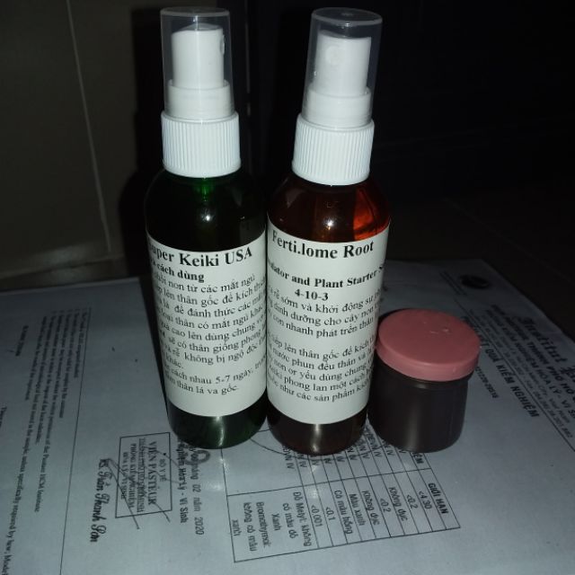 Combo nhân giống phong lan