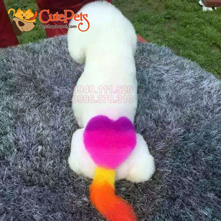 Nhuộm lông cao cấp Petesthe Vivid Color 140g Dành cho thú cưng - CutePets