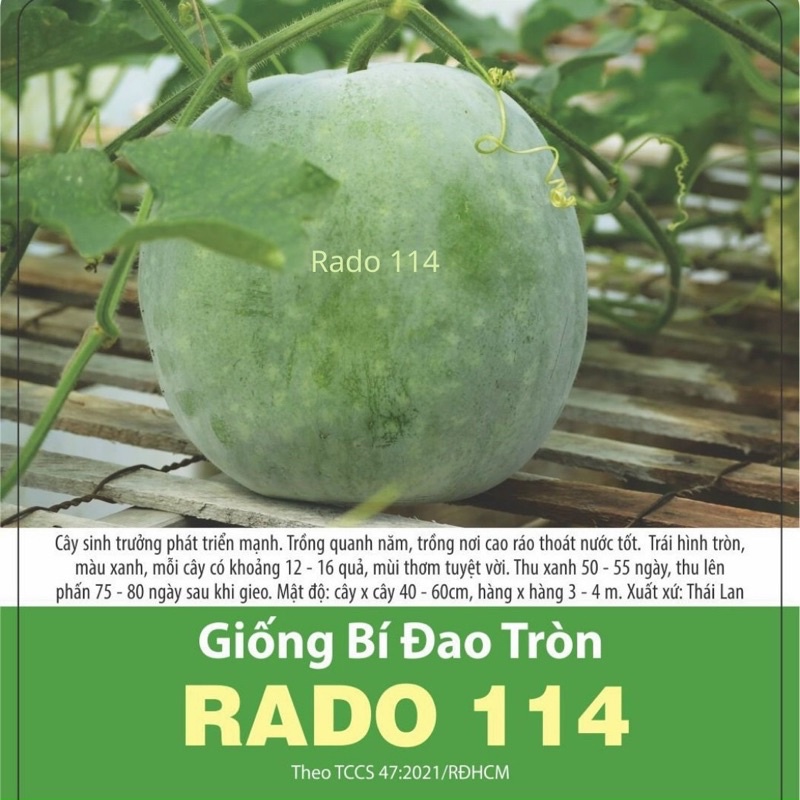 Hạt Giống Bí Đao Tròn 114