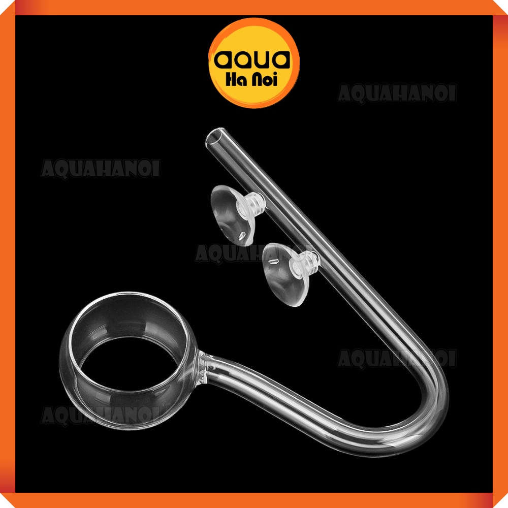 Đầu out thủy tinh trong suốt - 2 mặt tròn - gắn máy lọc nước hồ cá thủy sinh - Phi 12/16 mm - Có cục hít cố định