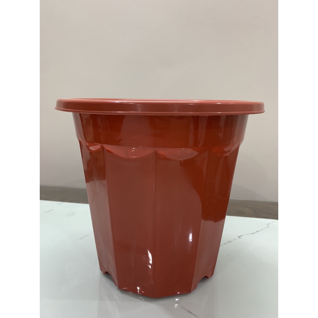 Chậu nhựa trồng ươm cây hoa E300 - 5 chậu màu nâu, hàng loại 1 nhựa dày dẻo KT 26x24cm
