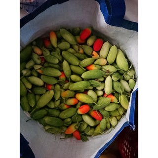 Trái bình bát dây tươi (700gr)