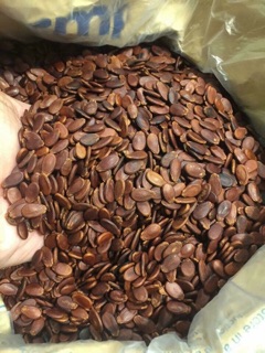 Hạt dưa rang tay không màu