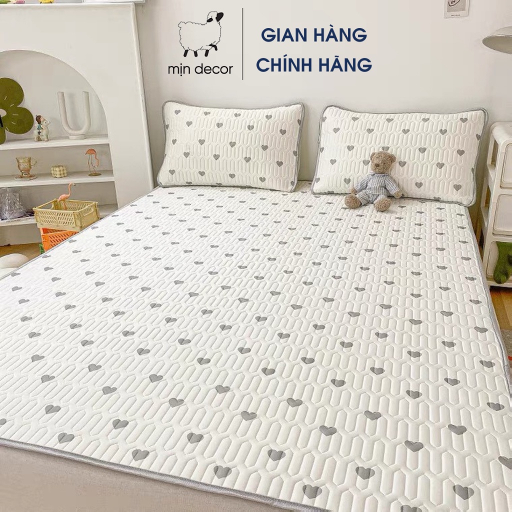 [Mã giảm 100k đơn 250k] Chiếu điều hòa 2D cao su non Mịn Decor kèm 2 vỏ gối cực mát lạnh mềm mại (video ảnh thật)