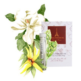 Tinh dầu nước hoa pháp - tinh dầu nước hoa pháp-aroma midnight
