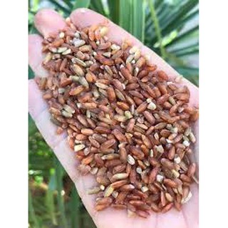 GẠO LỨT ĐỎ ĐIỆN BIÊN (1kg)
