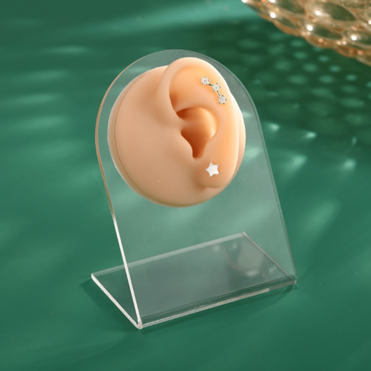 Mô Hình Trưng Bày Khuyên Tai Bằng Silicone