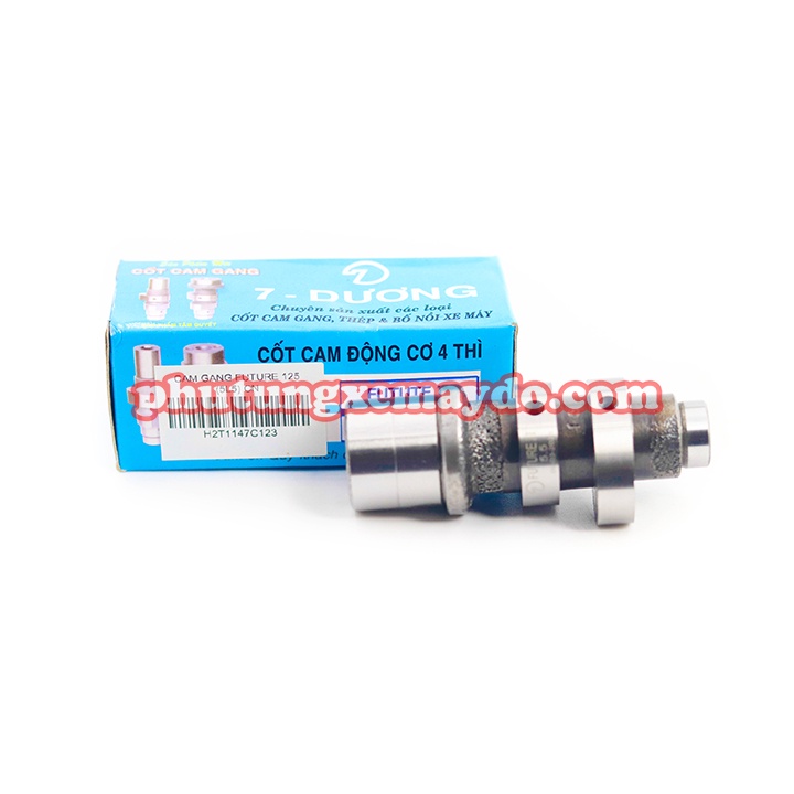Cam Gang Future 125 (5L5) Cn