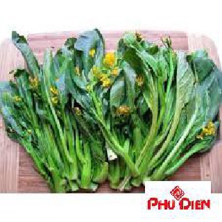 10 gram hạt giống cải ngồng mập phú điền