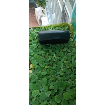 Hợp dựng kính thanh lí như hình