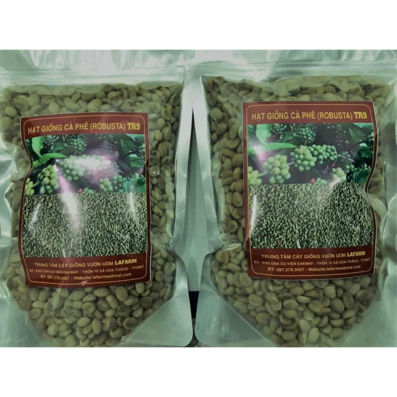 HẠT GIỐNG CÀ PHÊ TR4 (138)(1kg)