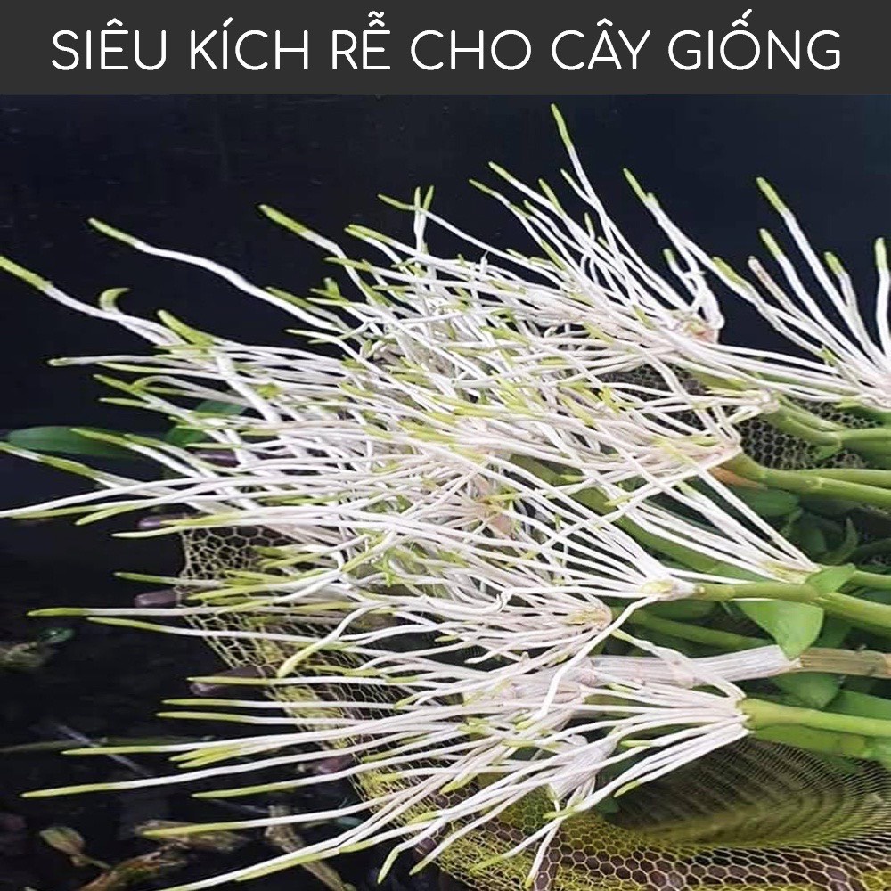 [Chính hãng] Bio Root 100ml – Kích Rễ Cực Mạnh Nhập Khẩu Từ Mỹ Dành Cho Hoa Lan Cây Cảnh